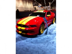 MUSTANG