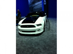MUSTANG