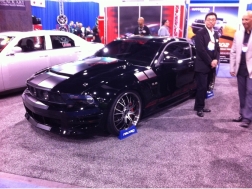 MUSTANG