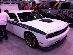 MUSTANG